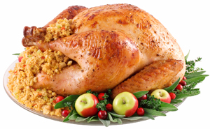 Organically Raised Turkey
